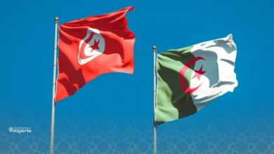 L’Algérie et la Tunisie scellent un partenariat stratégique historique 13 Tunisie