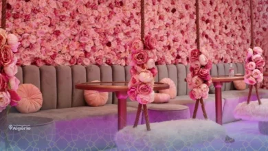 L’essor des cafés féminins : entre modernité et respect des valeurs algériennes 18 cafés féminins