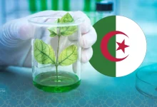 Banque Nationale des Gènes