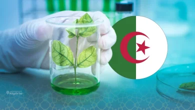 L’Algérie crée sa Banque Nationale des Gènes 18 Banque Nationale des Gènes