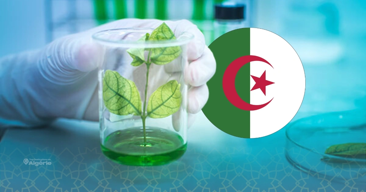 Banque Nationale des Gènes