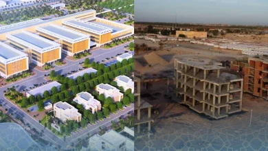 Ouargla : lancement d’un centre hospitalier universitaire de 400 lits 18 Ouargla