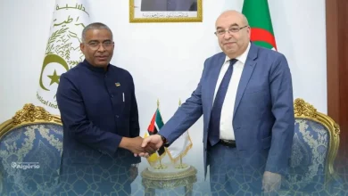 L’Algérie et le Mozambique renforcent leur partenariat pharmaceutique 18 Mozambique