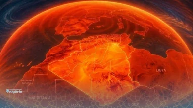 Dôme de chaleur : ce phénomène climatique qui a fait grimper le mercure à des niveaux inédits en Algérie 19 Dôme de chaleur