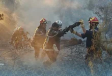 Incendies en Algérie