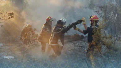 Incendies en Algérie