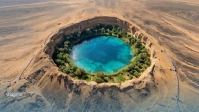 Le Jouf Albien : Ce trésor caché sous le Sahara pourrait nourrir l'Algérie pendant 2 500 ans 22 Jouf Albien