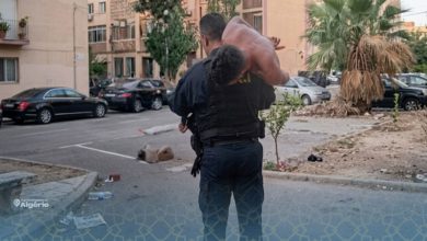 « Rafdat El Kabch » : la méthode qui rassure les Algériens face aux bandes de quartiers 19 Rafdat El Kabch