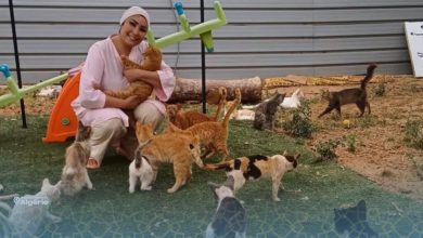 Khadidja Ladjama, la femme qui a transformé son amour des chats en refuge 20 Khadidja Ladjama