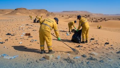 Envoyer certains condamnés dans le Sud pour travailler : une solution qui divise les Algériens 22 TDA 1