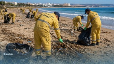 En Tunisie, des condamnés nettoient les plages… Et si l’Algérie faisait de même ? 20 Tunisie