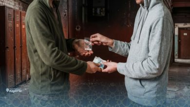 L'Algérie instaure des récompenses financières pour les signalements liés aux drogues 18 drogues