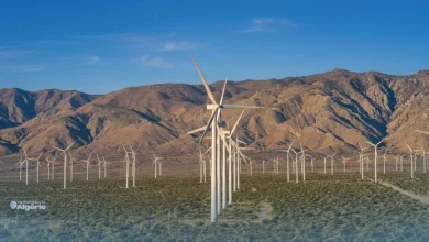 L’Algérie lance deux projets de fermes éoliennes de 100 MW à Djelfa et Laghouat 19 éoliennes